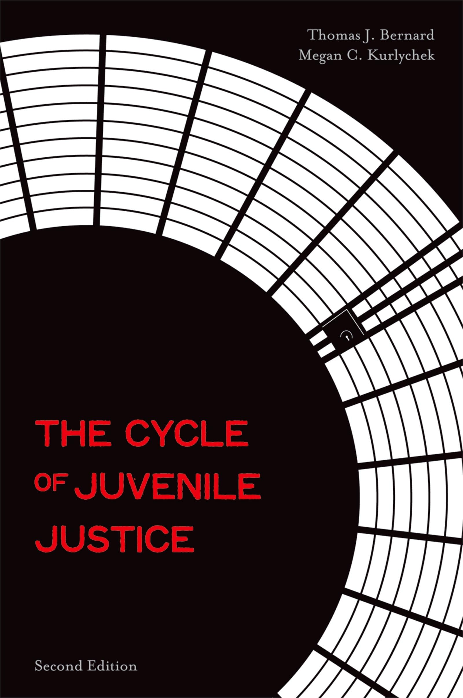 The Cycle of Juvenile Justice,Used