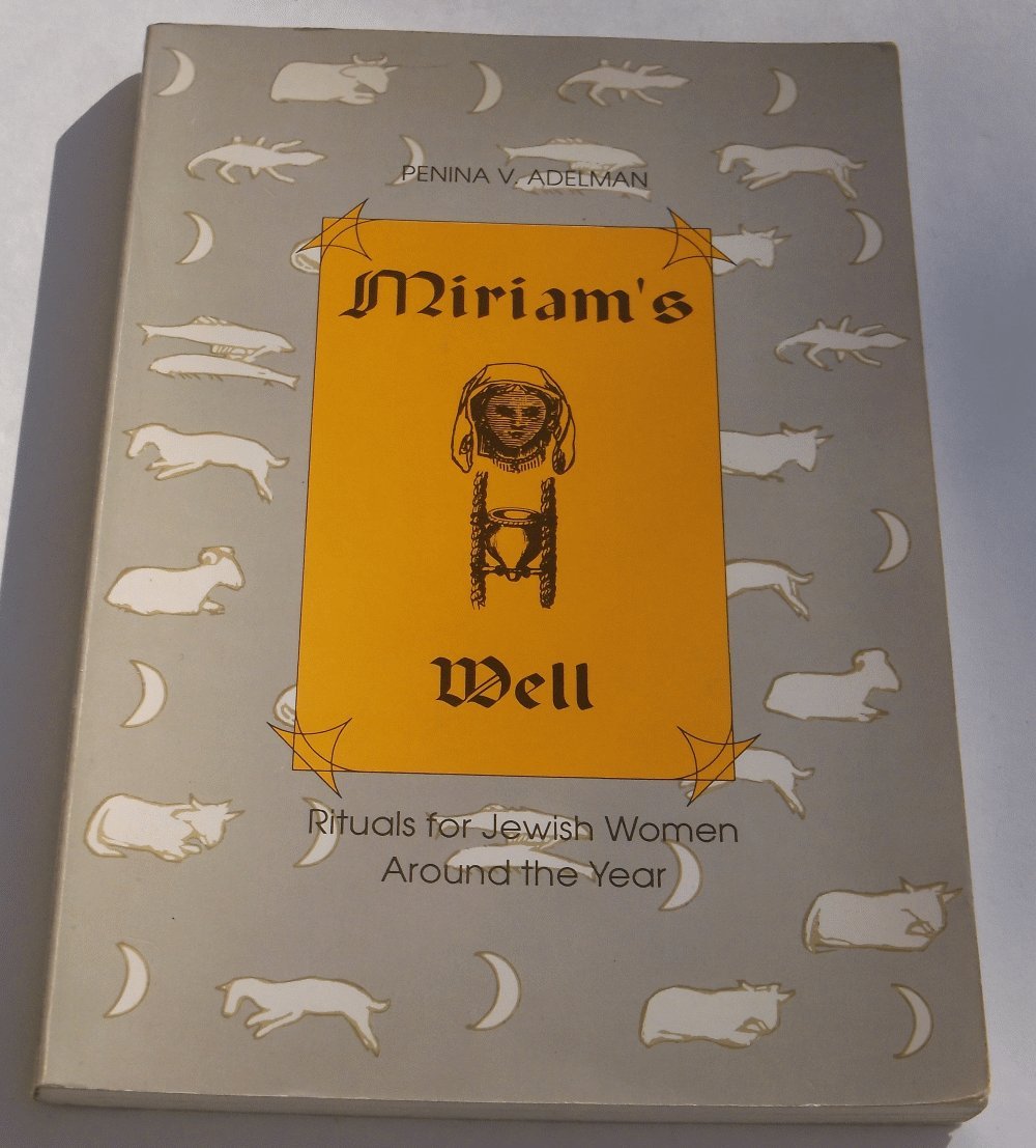 Miriam'S Well: Rituals For Jewish Women Around The Year