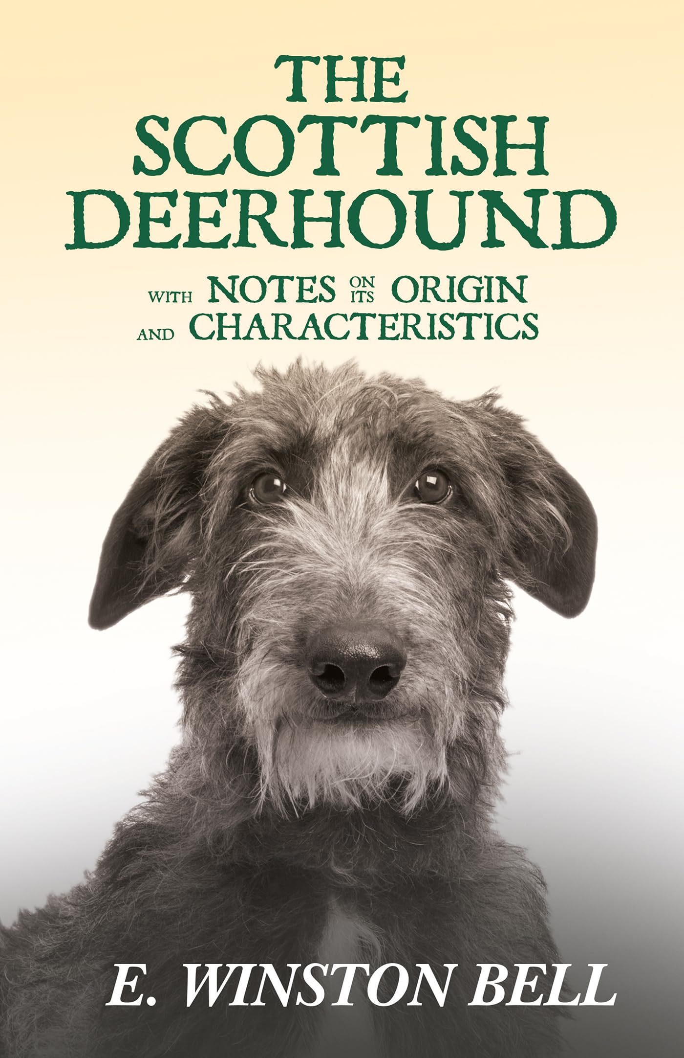 The Scottish Deerhound With Notes On Its Origin And Characteristics,Used