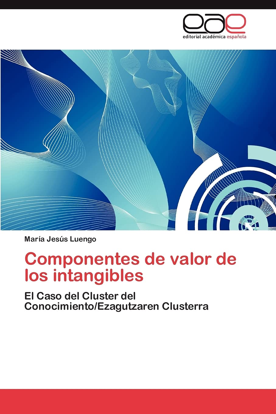 Componentes de valor de los intangibles: El Caso del Cluster del Conocimiento/Ezagutzaren Clusterra (Spanish Edition),Used