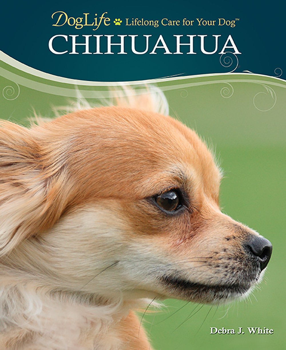 Chihuahua (DogLife: Lifelong Care for Your Dog),New