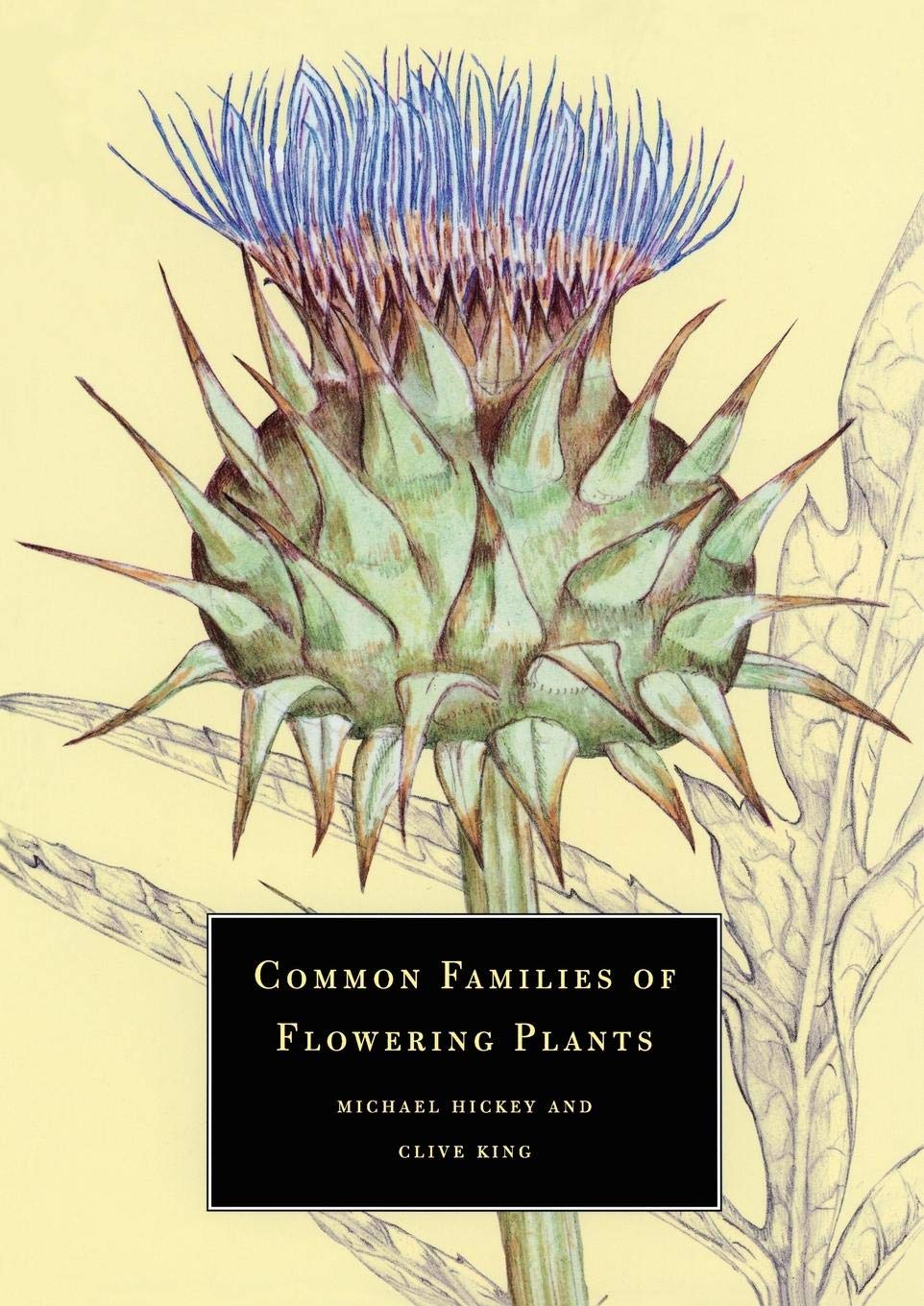 Common Families of Flowering Plants,Used