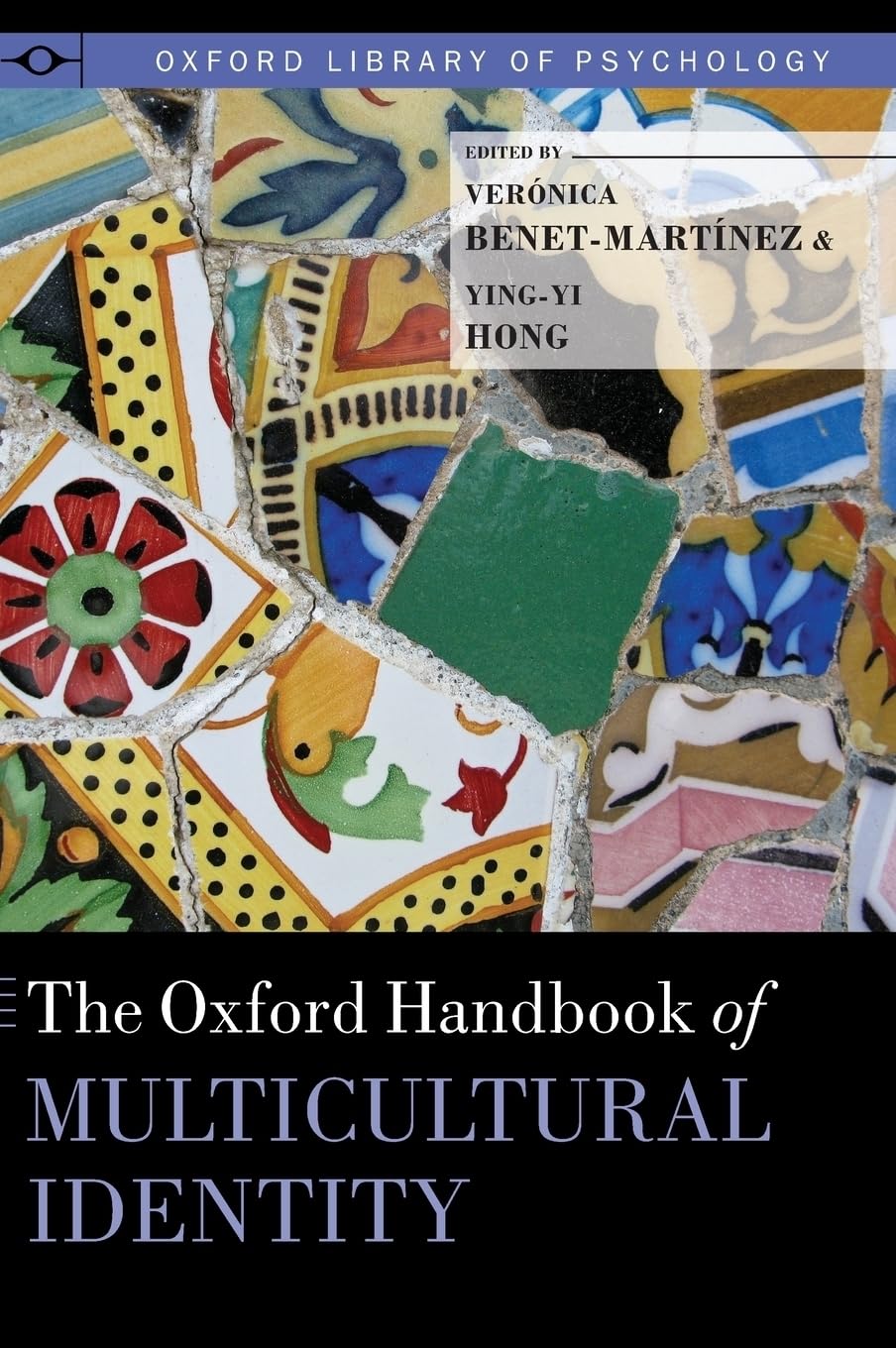The Oxford Handbook of Multicultural Identity (Oxford Library of Psychology),Used