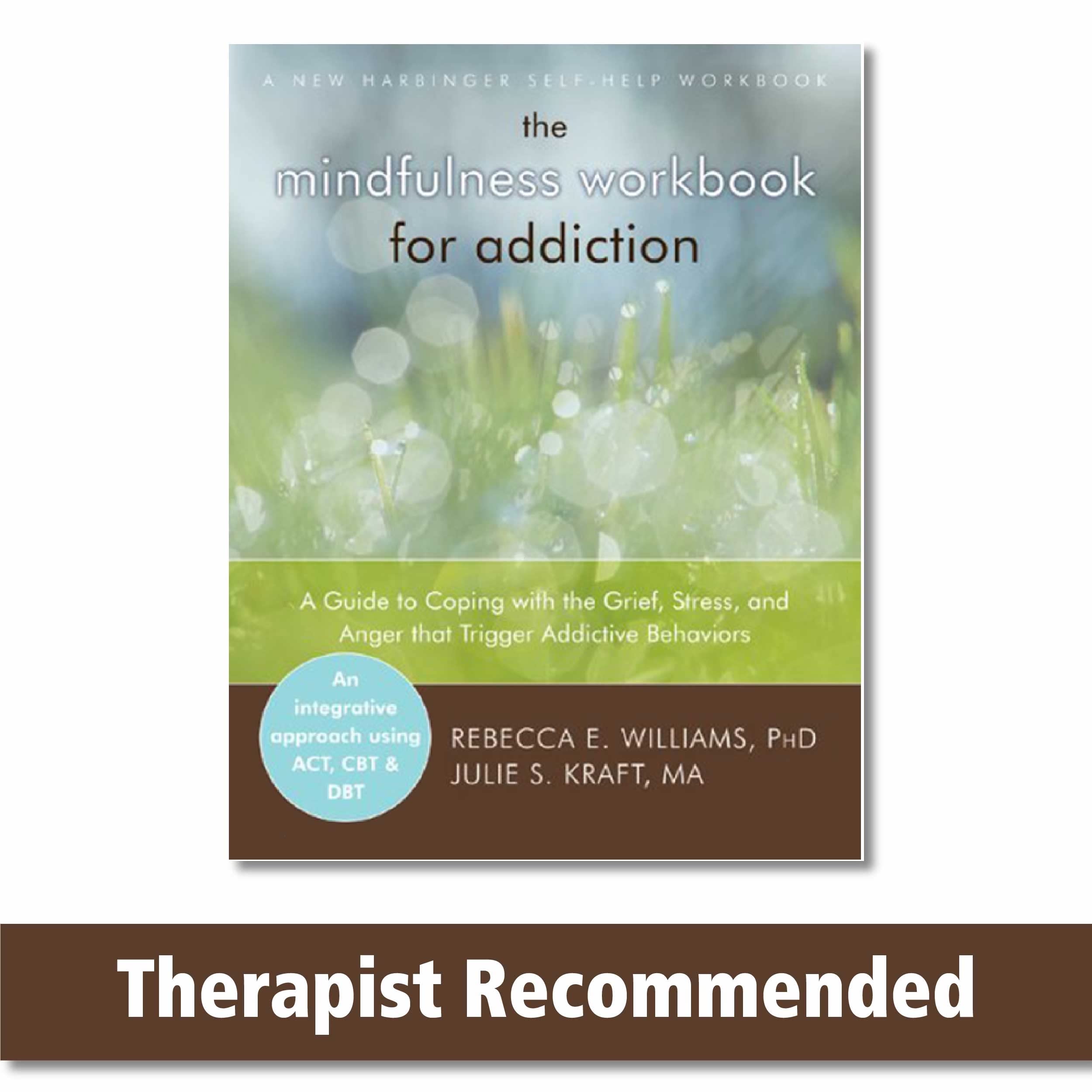 The Mindfulness Workbook For Addiction: A Guide To Coping With The Grief, Stress And Anger That Trigger Addictive Behaviors (A N