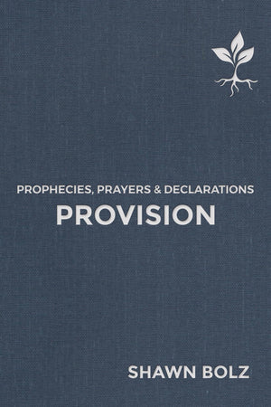 Provision: Prophecies, Prayers & Declarations (2),Used