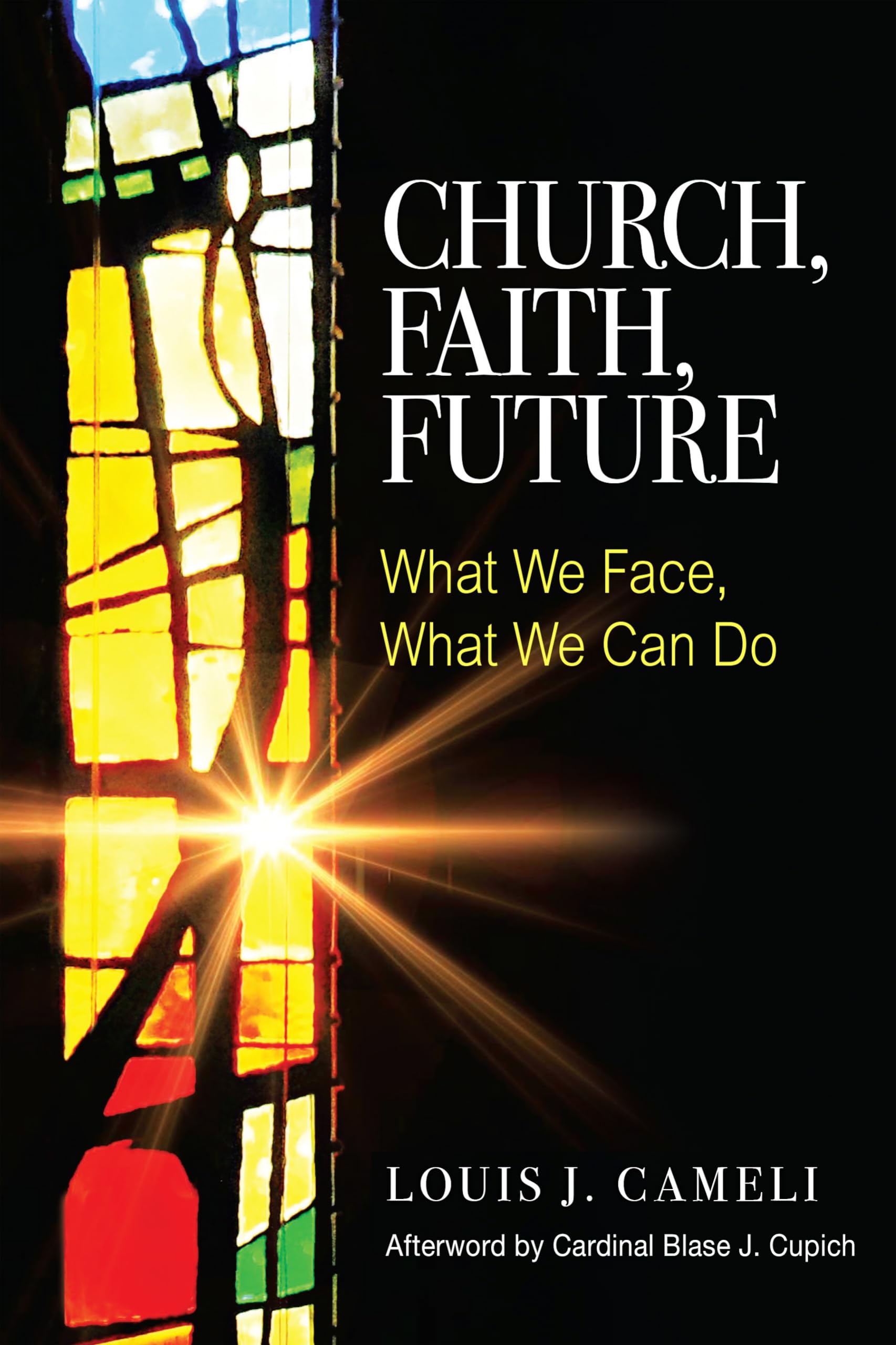 Church, Faith, Future: What We Face, What We Can Do,Used