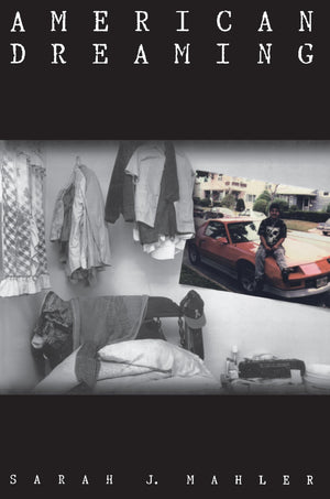 American Dreaming: Immigrant Life on the Margins,Used