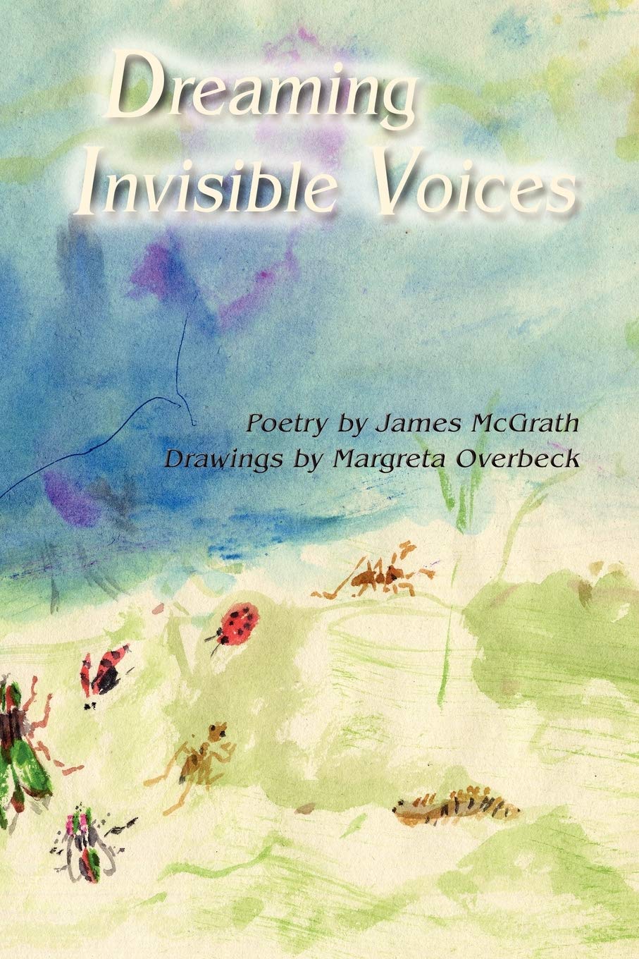 Dreaming Invisible Voices, Poems,Used