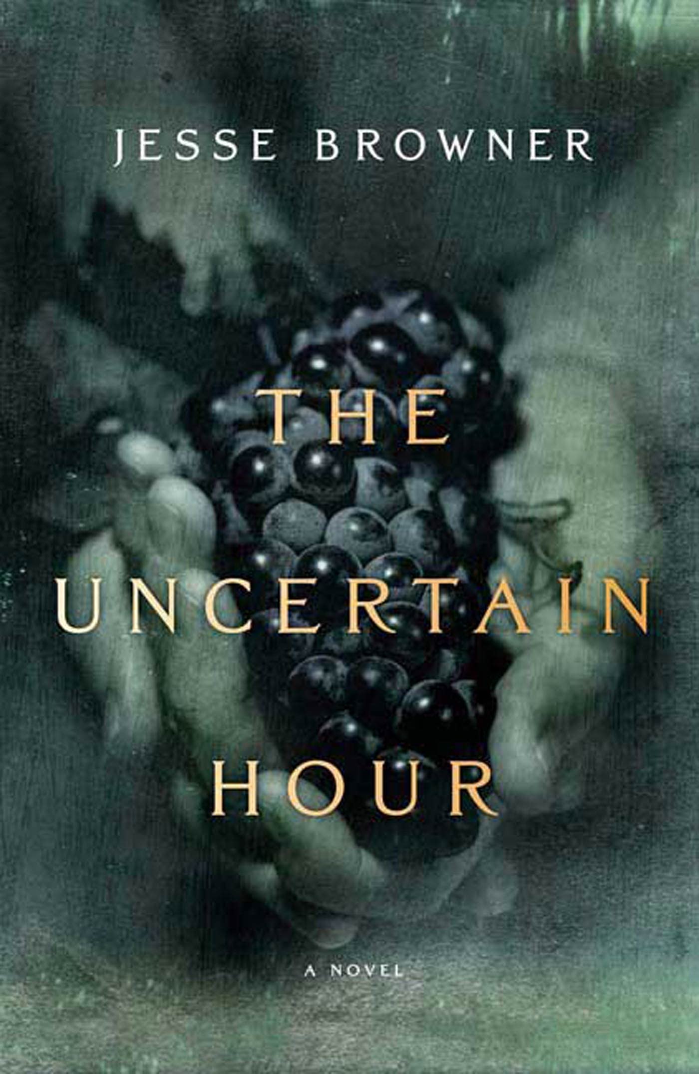 The Uncertain Hour: A Novel,Used