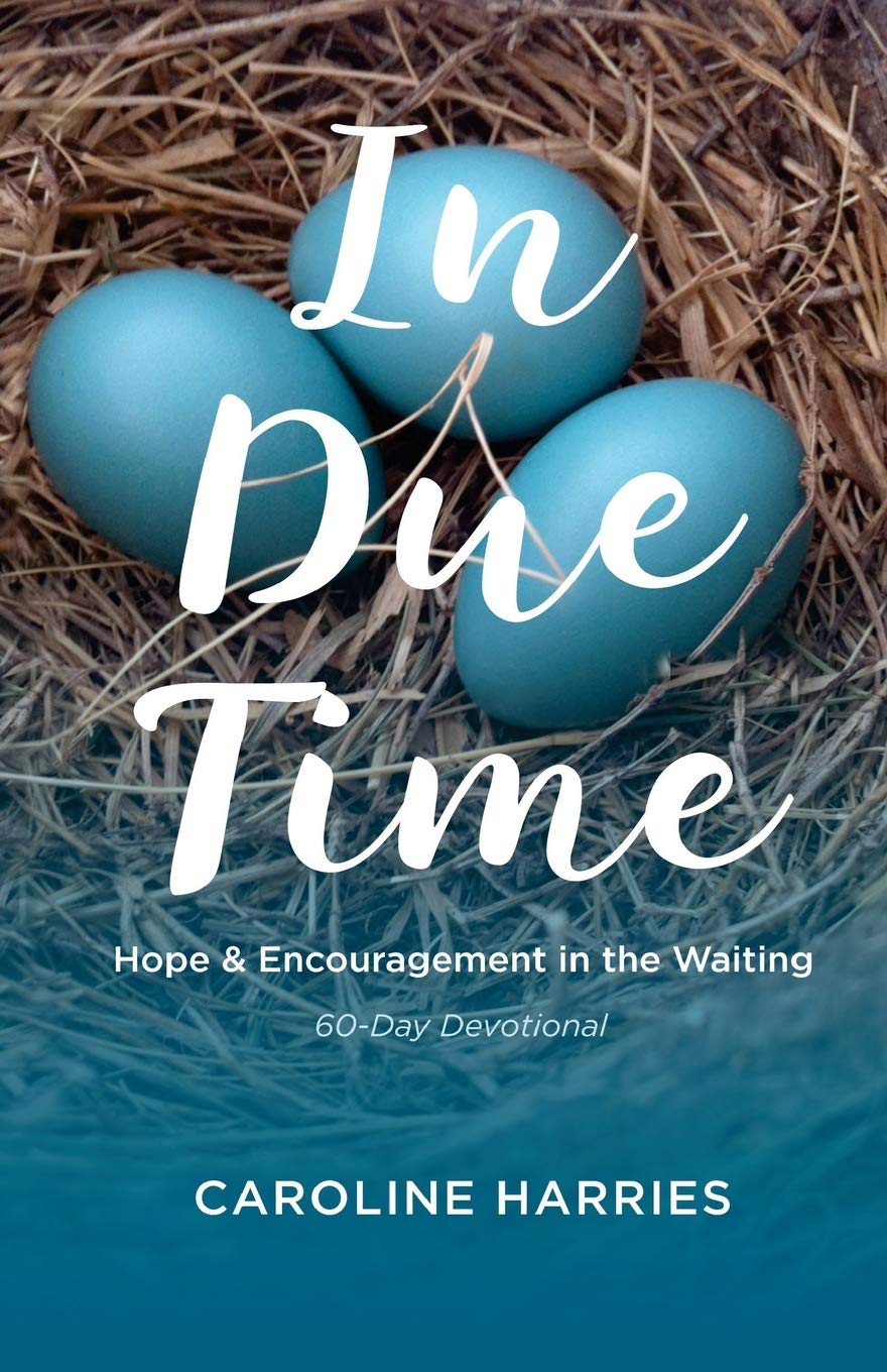In Due Time: Hope And Encouragement In The Waiting,New