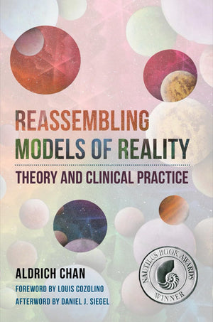 Reassembling Models of Reality: Theory and Clinical Practice (Norton Series on Interpersonal Neurobiology),Used