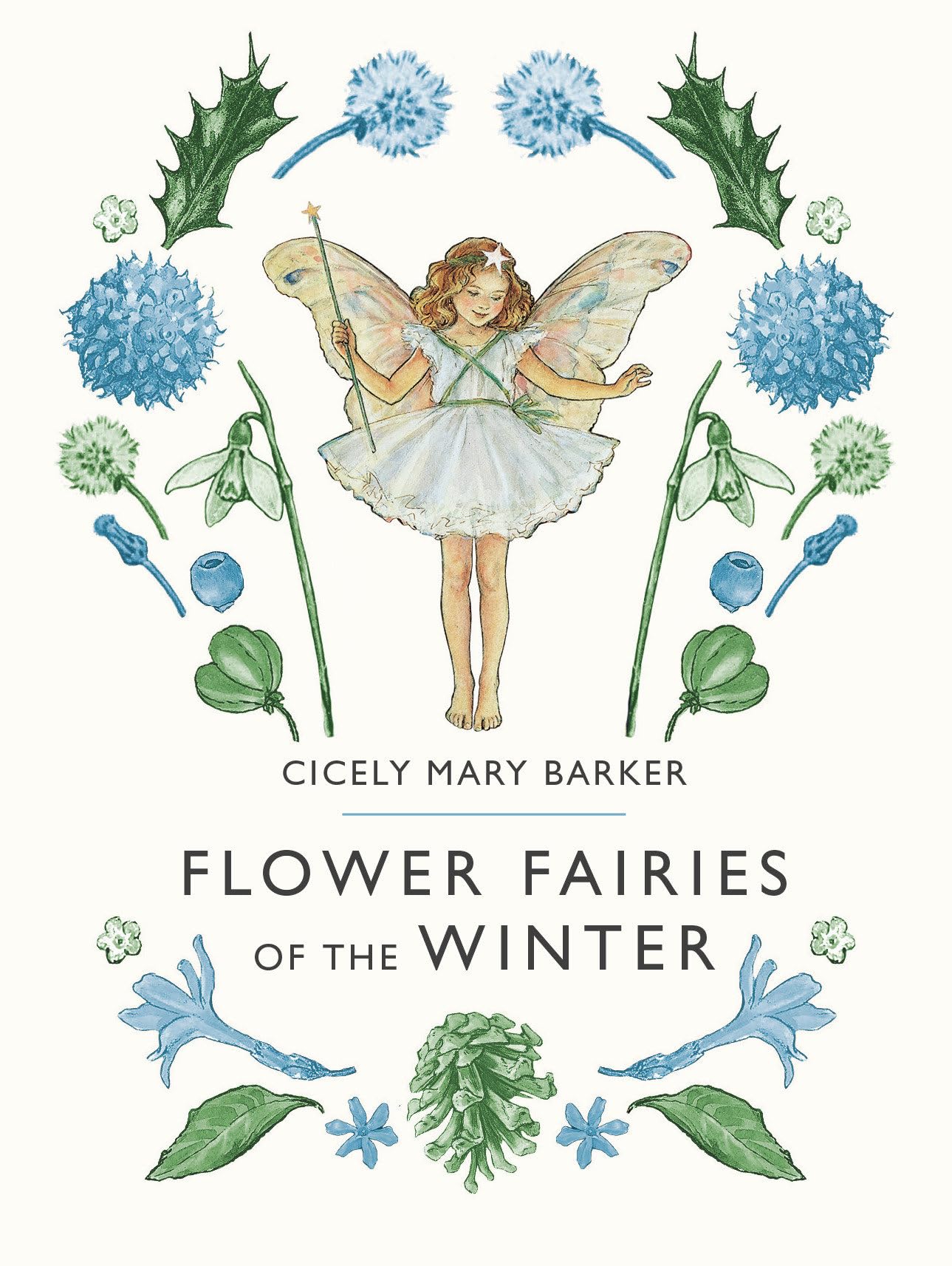 Flower Fairies of the Winter,Used