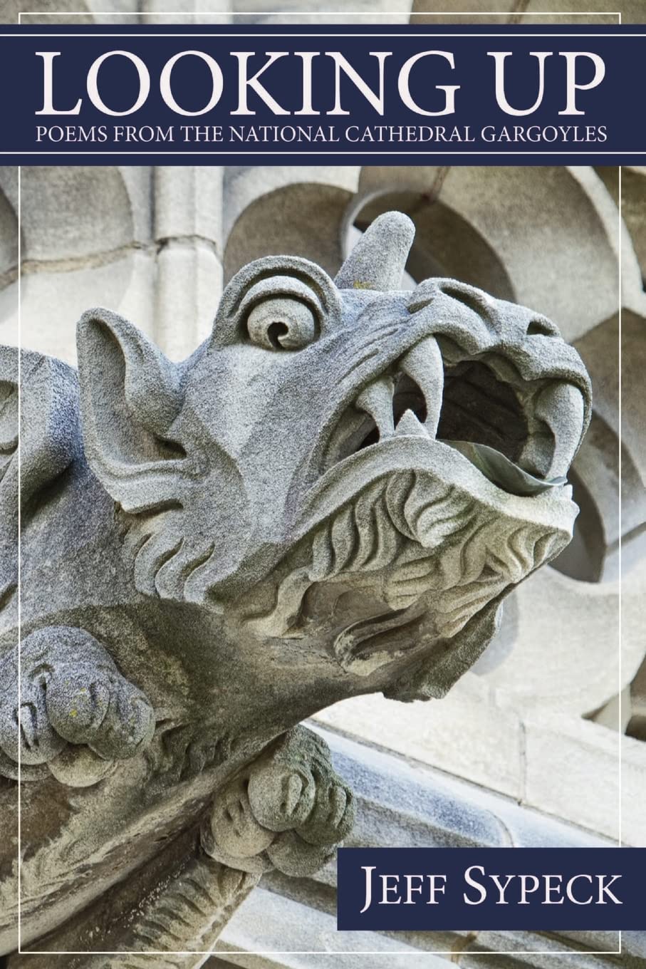 Looking Up: Poems from the National Cathedral Gargoyles,Used