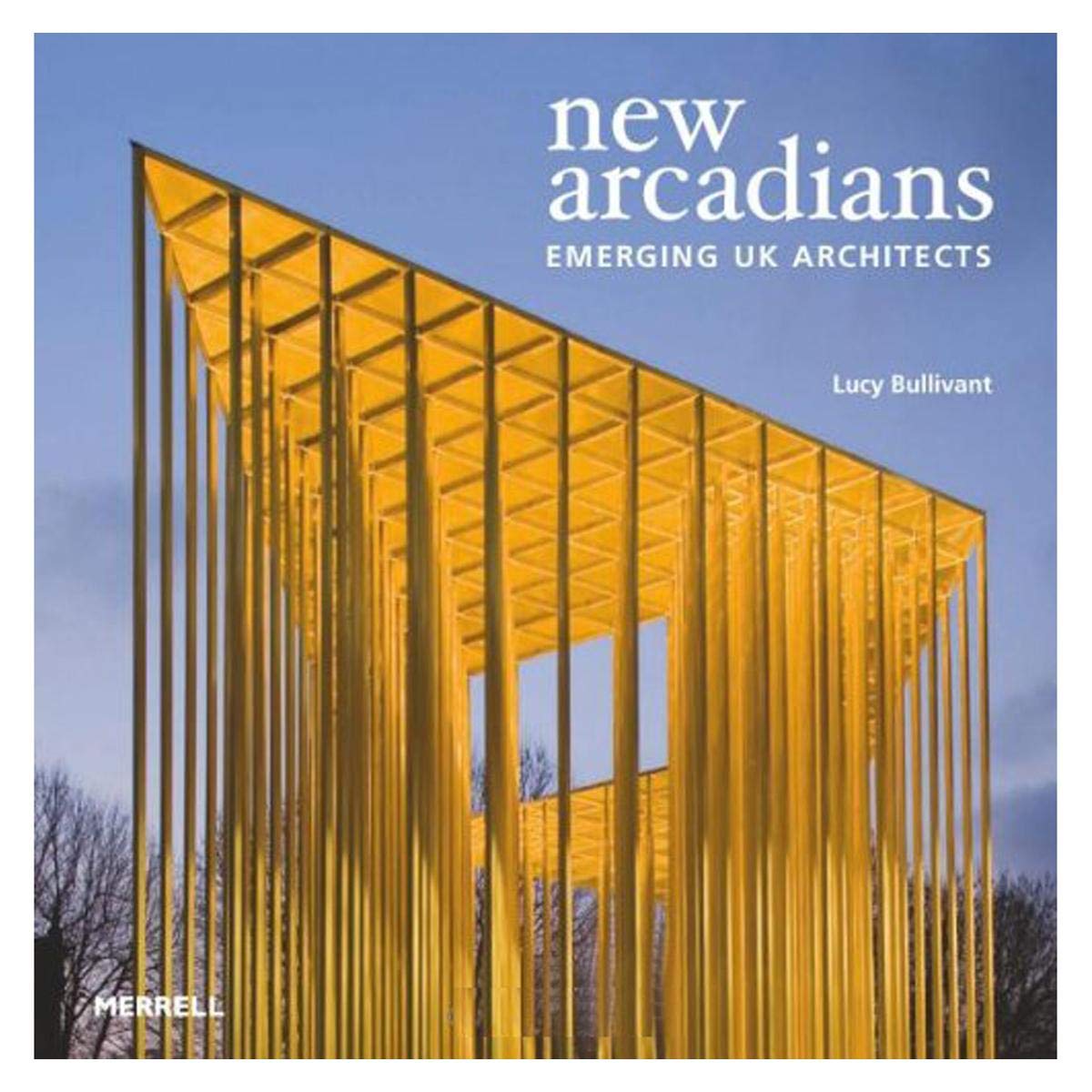 New Arcadians: Emerging Uk Architects,Used