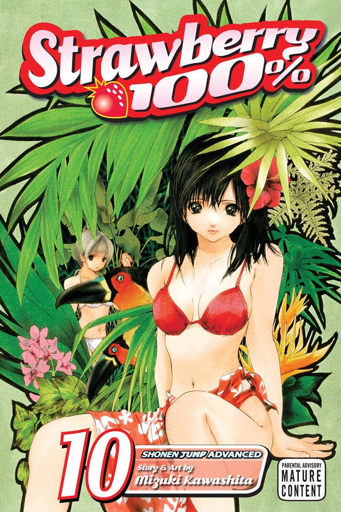 Strawberry 100%, Vol. 10 (10),Used