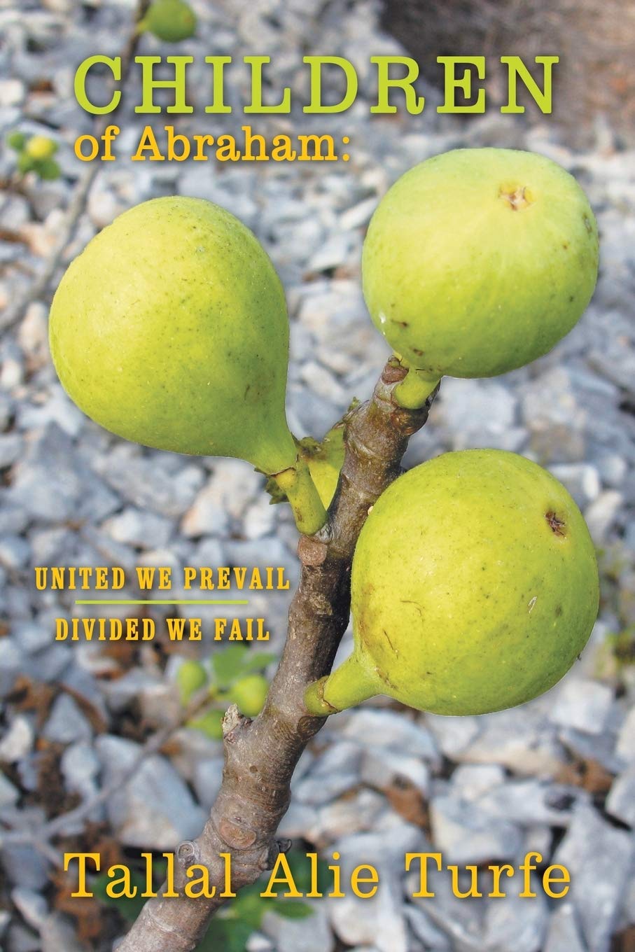 Children of Abraham: United We Prevail, Divided We Fail,Used