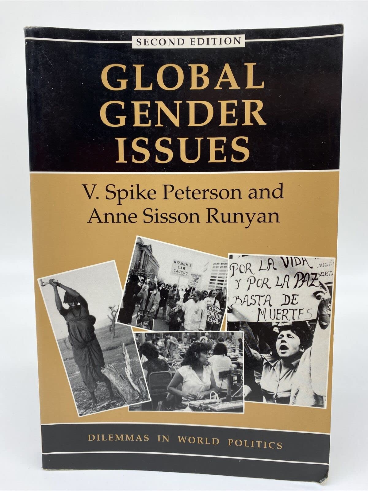 Global Gender Issues (Dilemmas in World Politics),Used