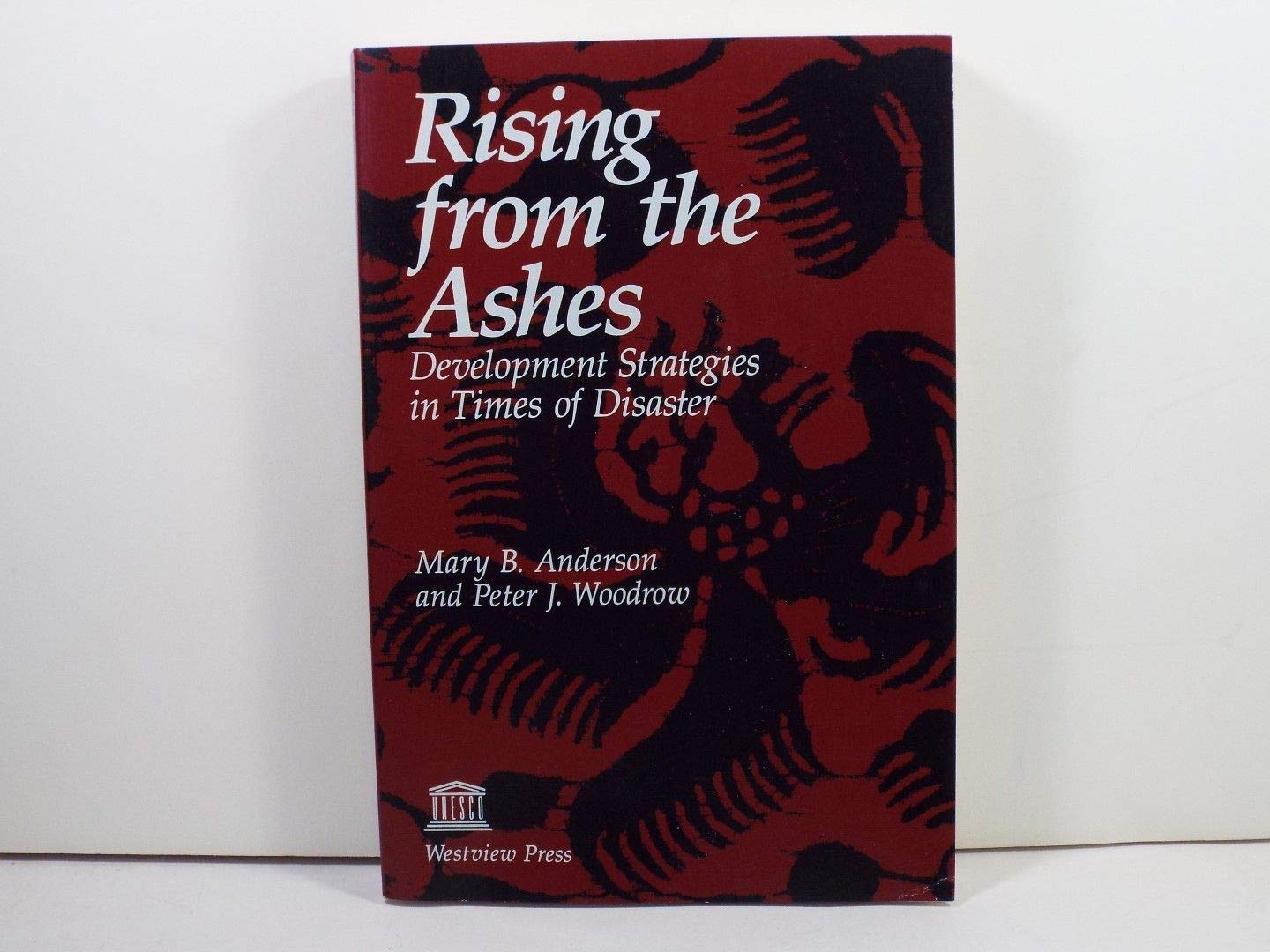 Rising From The Ashes: Development Strategies In Times Of Disaster,Used