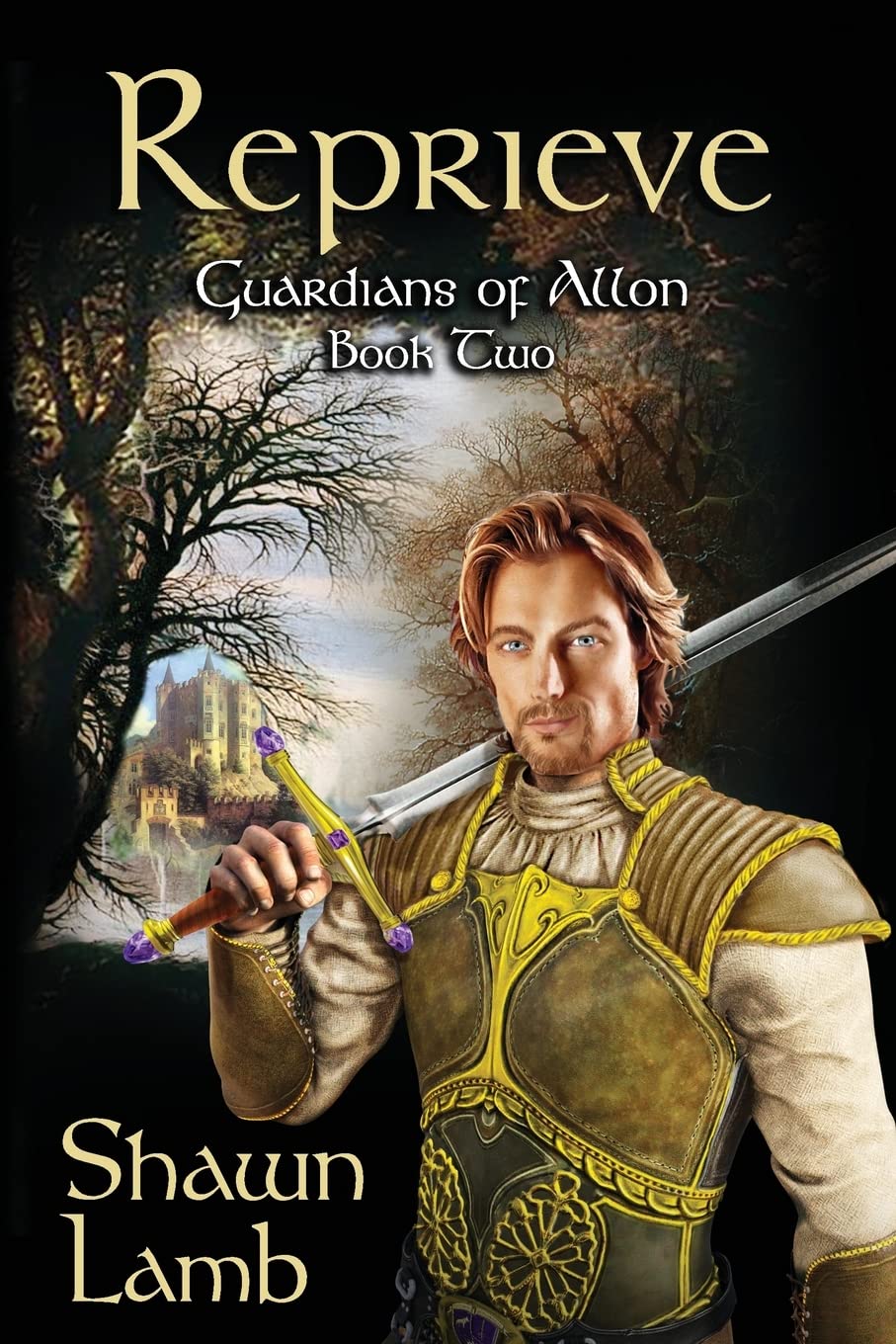 Reprieve (Guardians of Allon),Used