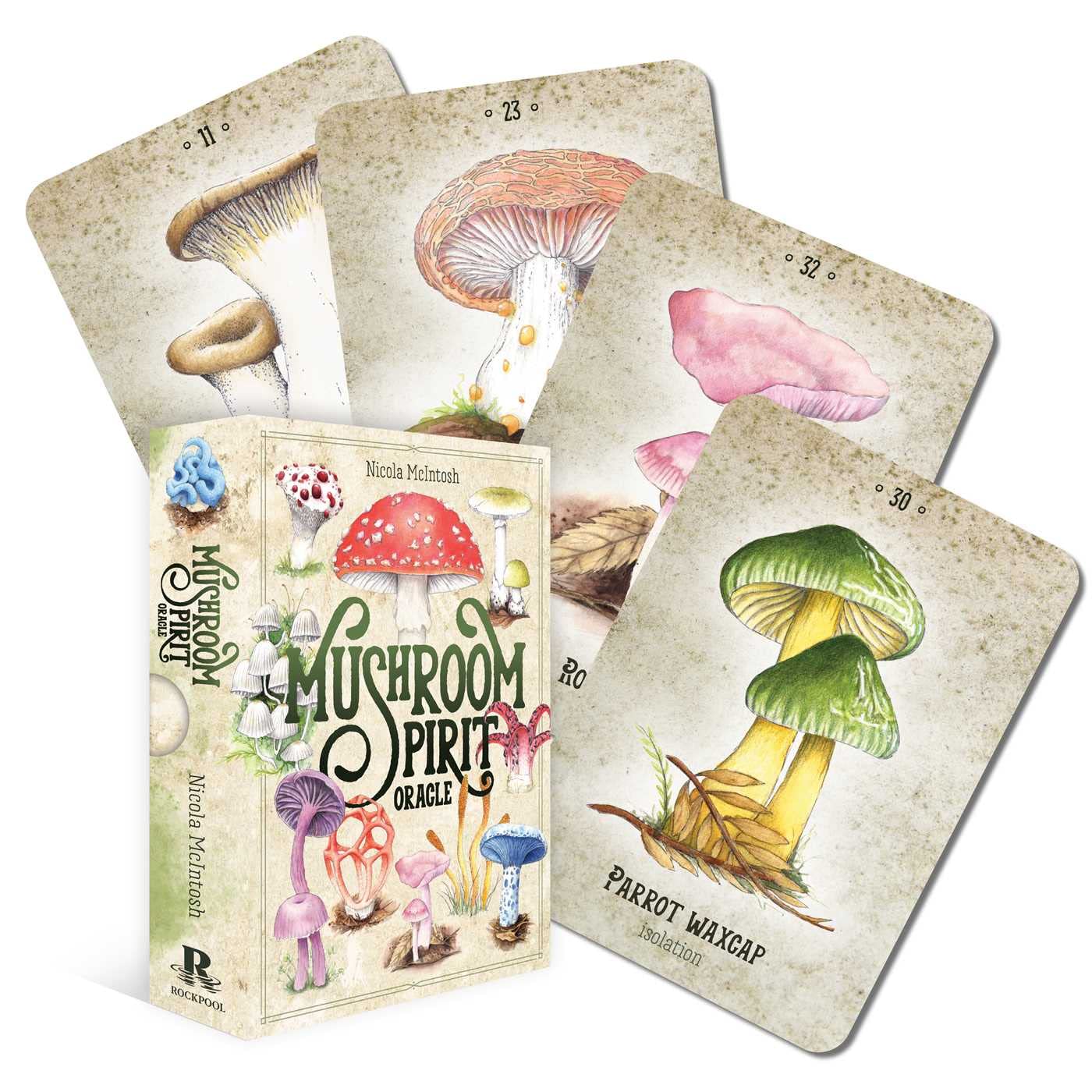 Mushroom Spirit Oracle,Used