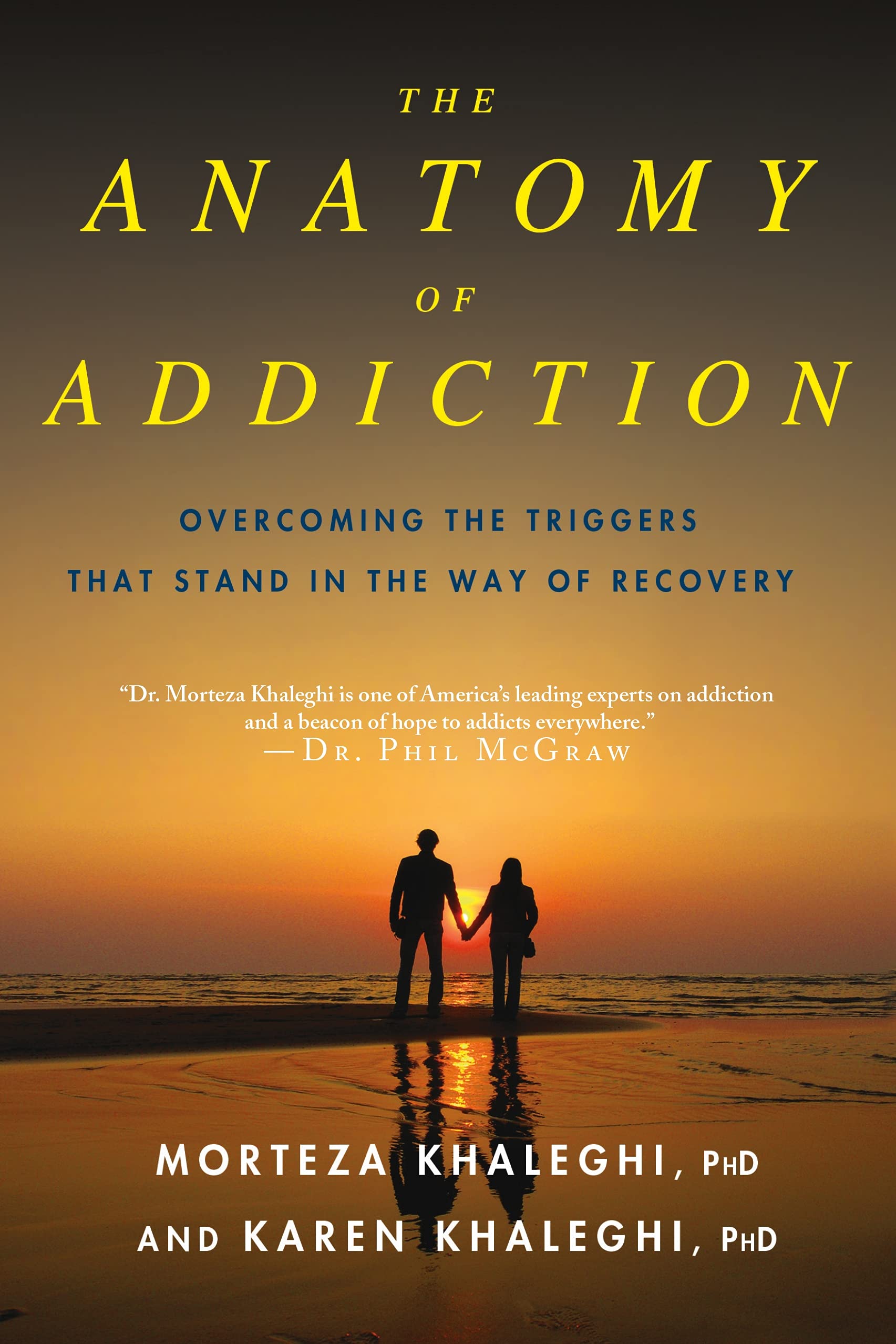 The Anatomy of Addiction: Overcoming the Triggers That Stand in the Way of Recovery,Used