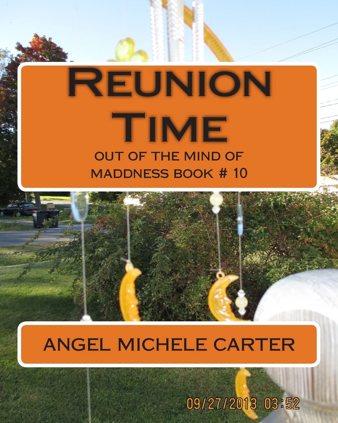 Reunion Time: out of the mind of maddness book # 10,Used