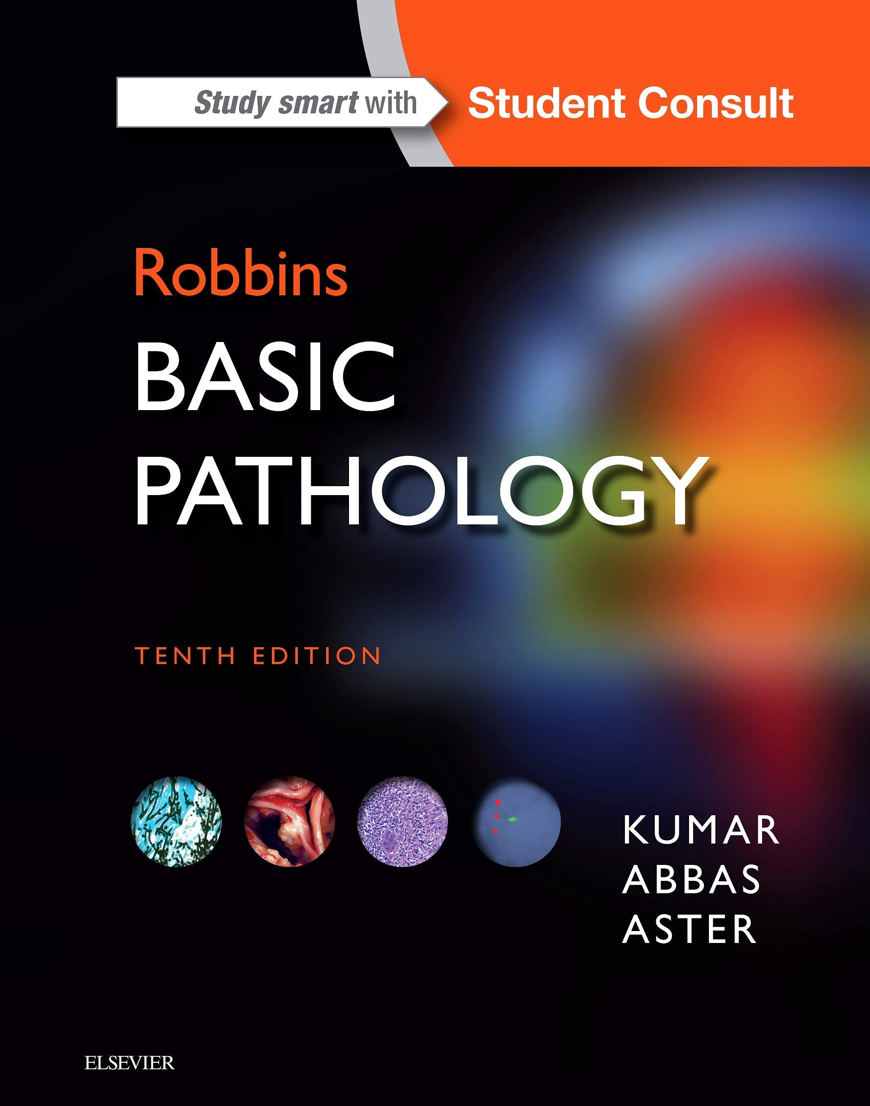 Robbins Basic Pathology (Robbins Pathology),Used