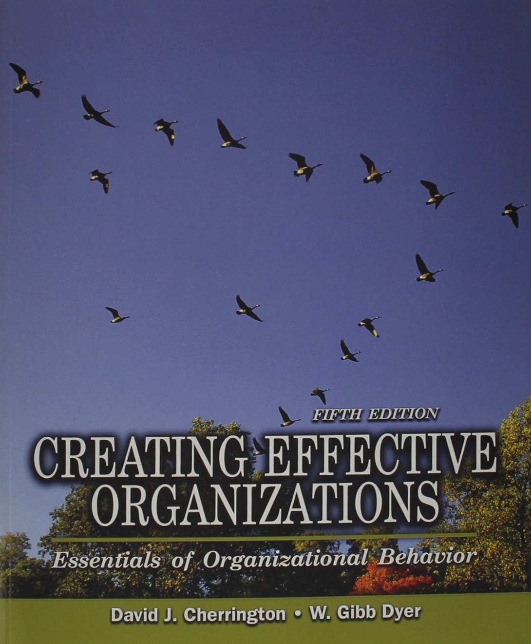 Creating Effective Organizations: Essentials of Organizational Behavior,Used