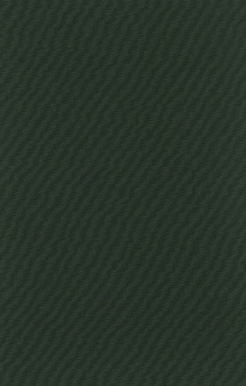 The Junius Manuscript,New