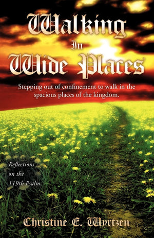 Walking In Wide Places,Used