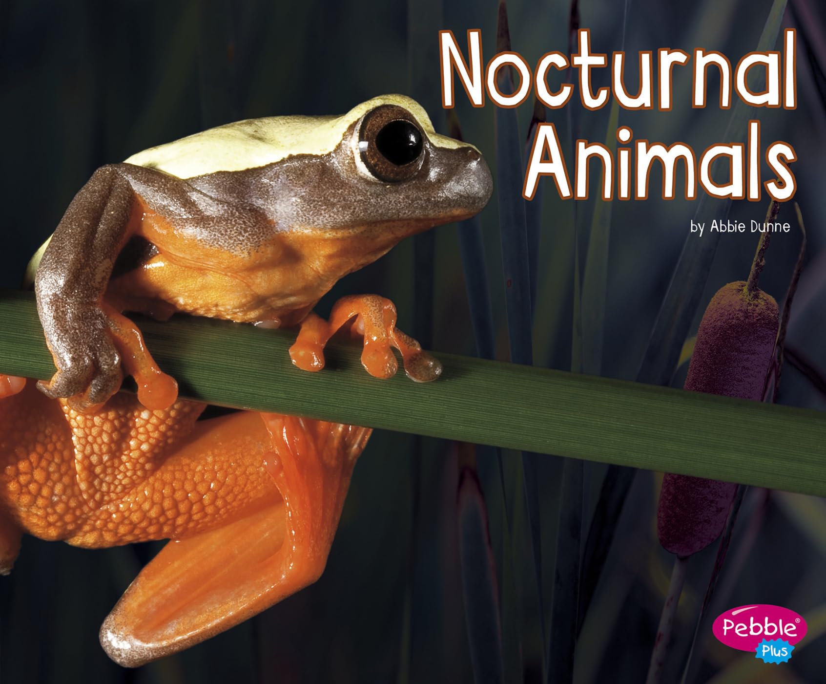 Nocturnal Animals (Life Science),Used