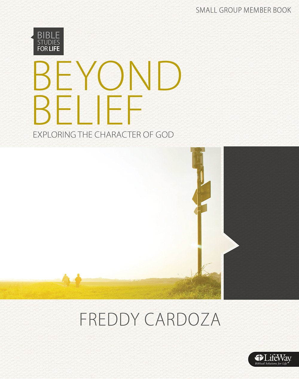 Beyond Belief: Exploring The Character Of God, Member Book (Bible Studies For Life)