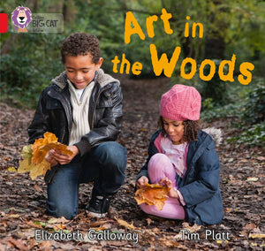 Art in the Woods (Collins Big Cat),Used