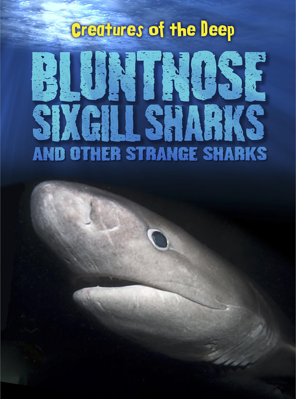 Bluntnose Sixgill Sharks and Other Strange Sharks (Creatures of the Deep),Used