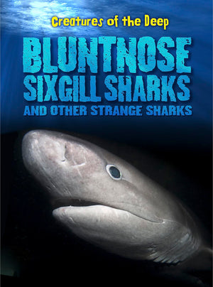 Bluntnose Sixgill Sharks and Other Strange Sharks (Creatures of the Deep),Used