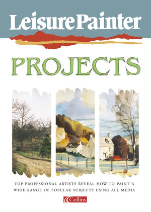 Leisure Painter Projects,Used