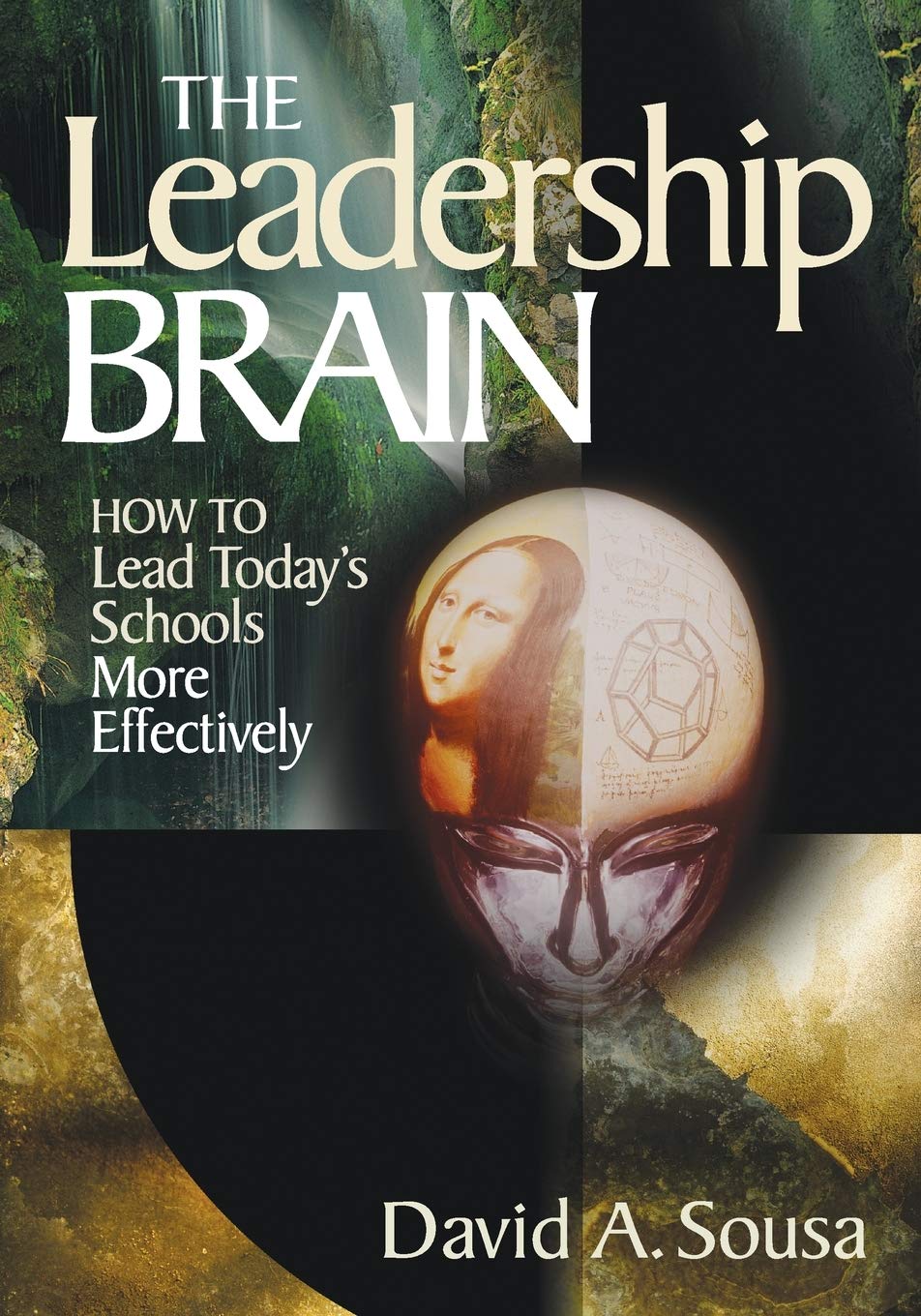The Leadership Brain: How to Lead Today's Schools More Effectively (1off Series),Used