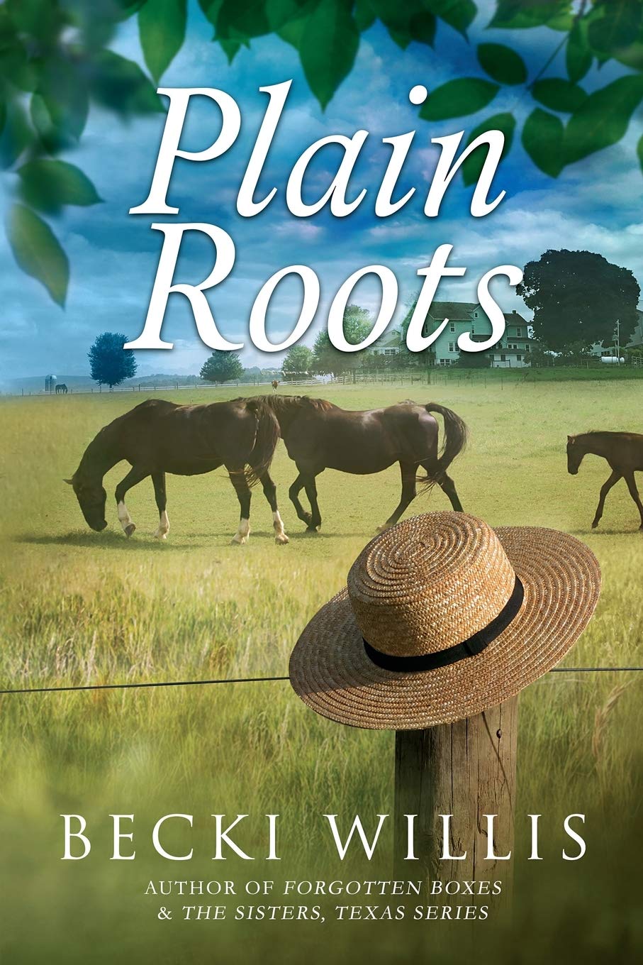 Plain Roots,Used
