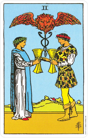 Pocket Riderwaite Tarot (Riderwaite Tarot Deck Collection),Used