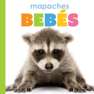 Mapaches Bebs (Spanish Edition)