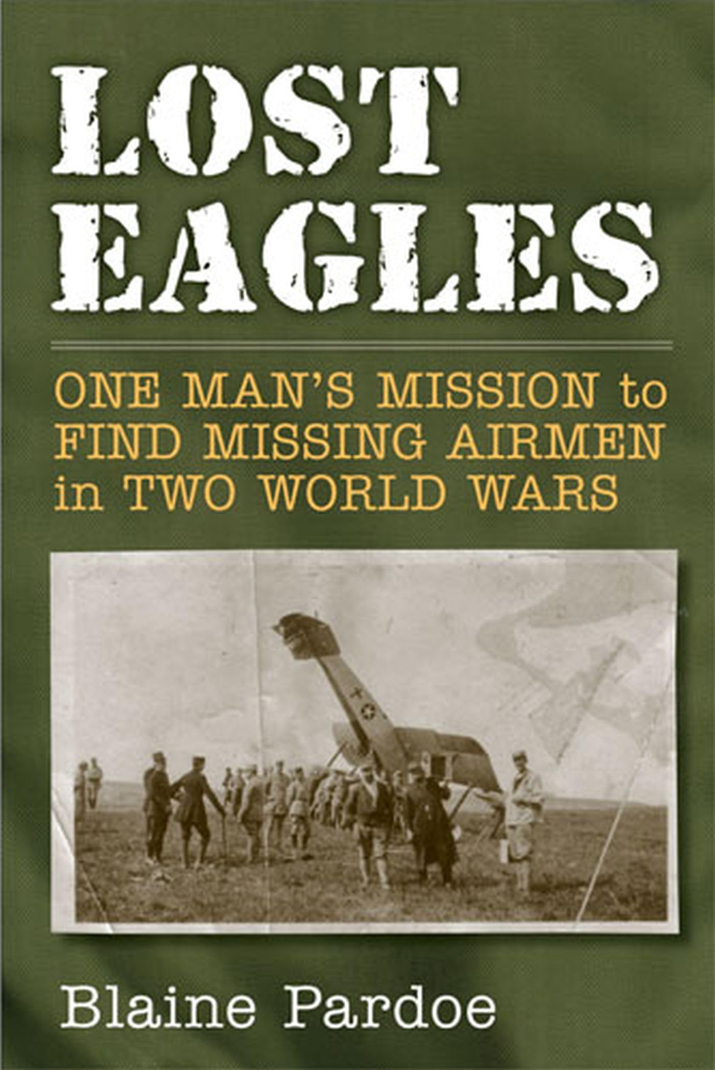 Lost Eagles: One Man'S Mission To Find Missing Airmen In Two World Wars,New