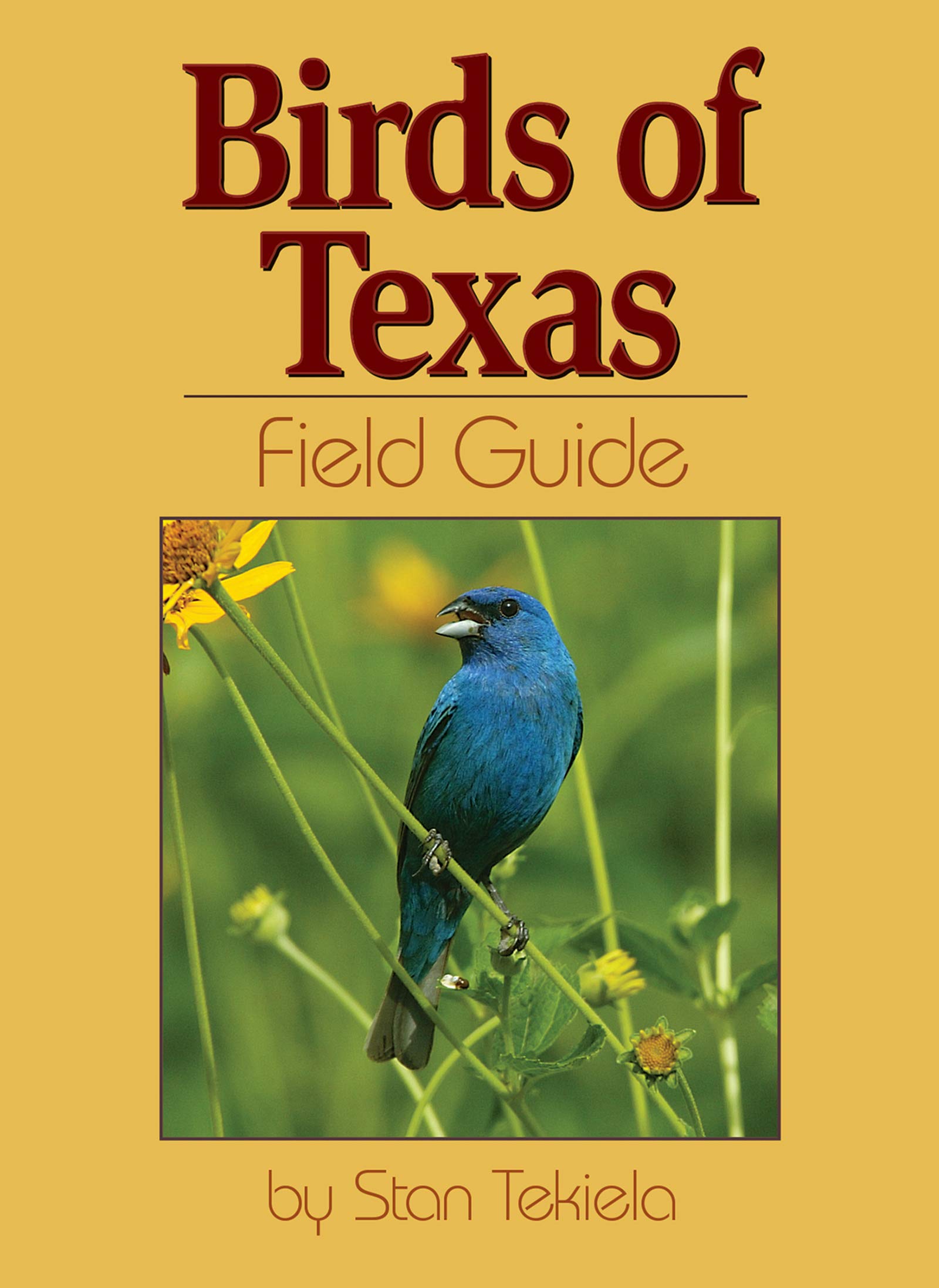 Birds of Texas Field Guide (Bird Identification Guides),Used