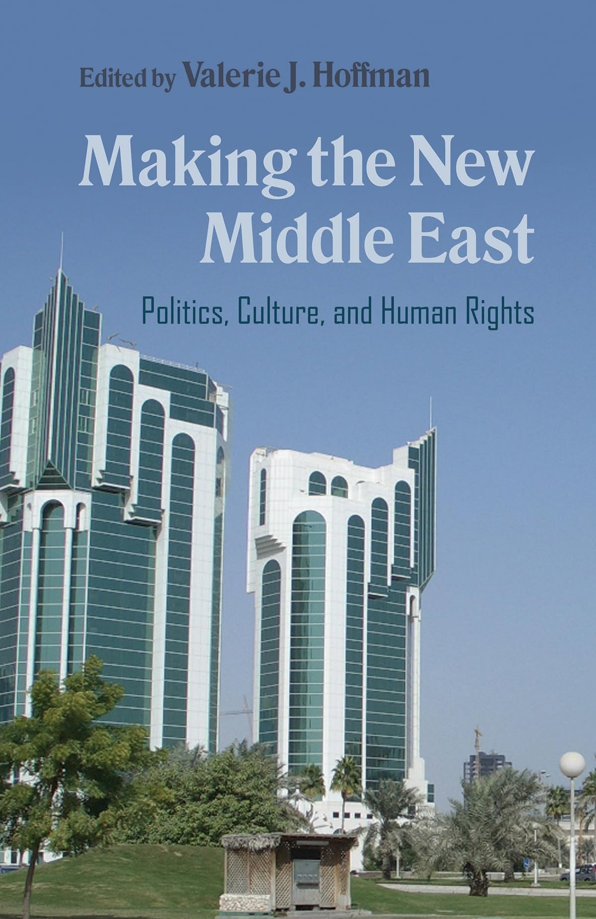 Making The New Middle East: Politics, Culture, And Human Rights (Contemporary Issues In The Middle East),Used