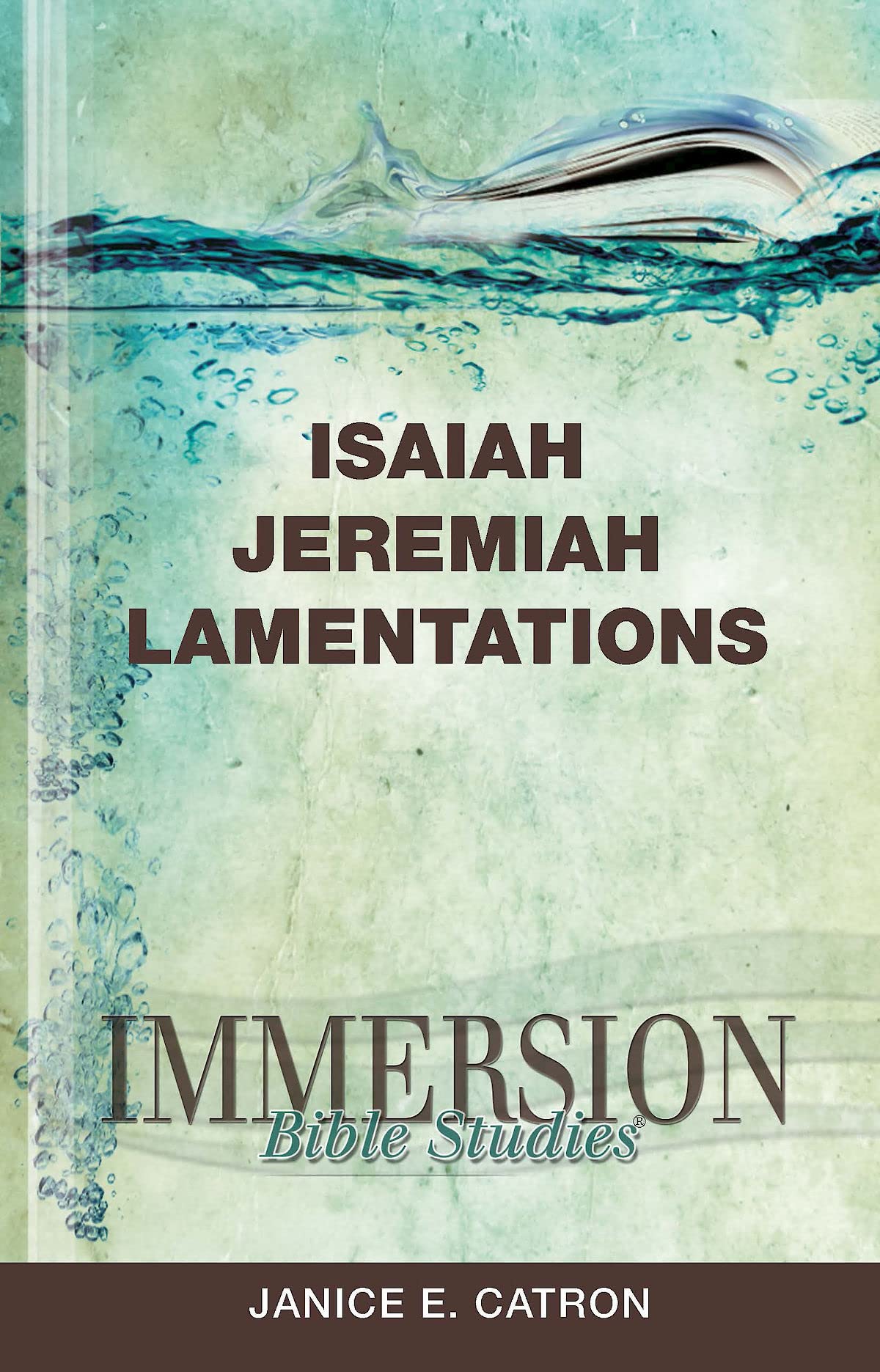 Immersion Bible Studies: Isaiah, Jeremiah, Lamentations,Used