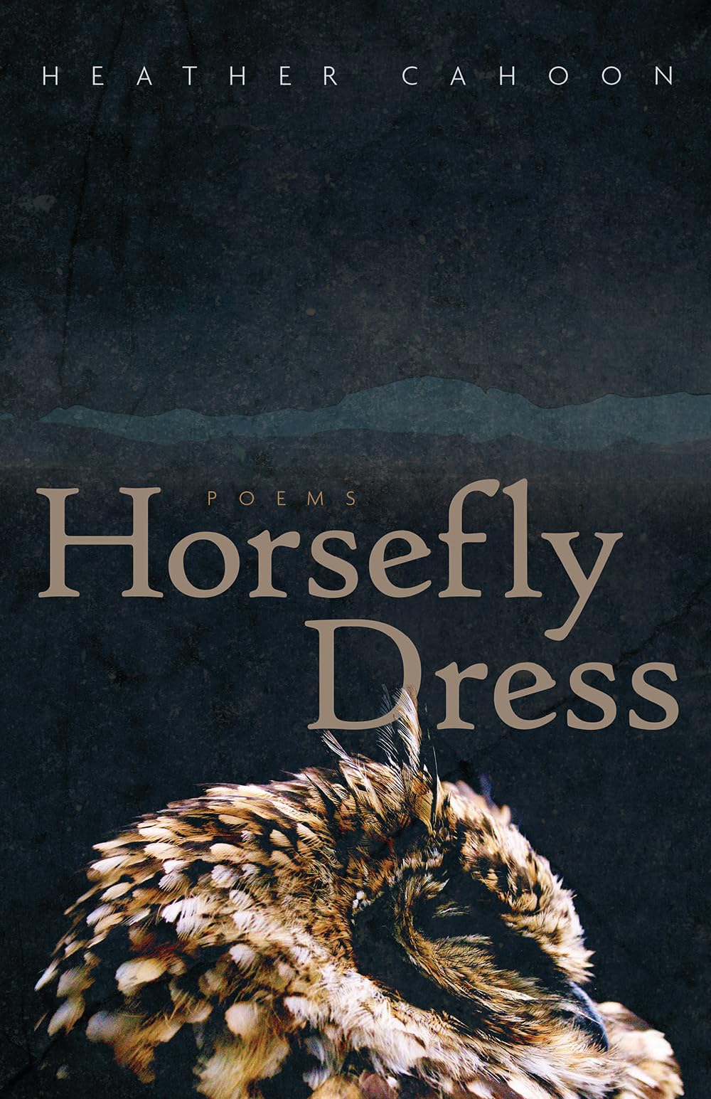 Horsefly Dress: Poems (Volume 87) (Sun Tracks),Used