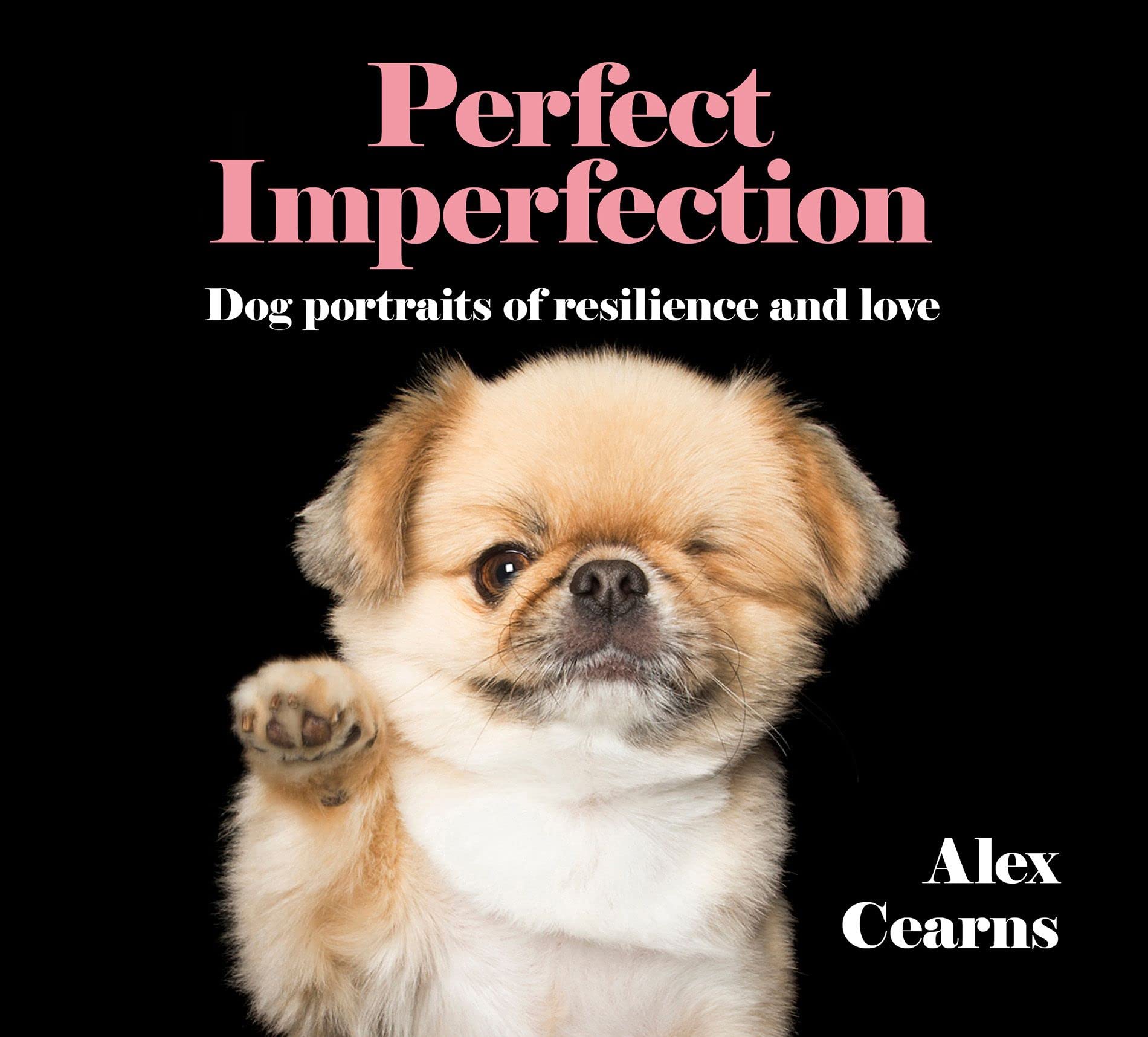 Perfect Imperfection: Dog Portraits Of Resilience And Love,Used
