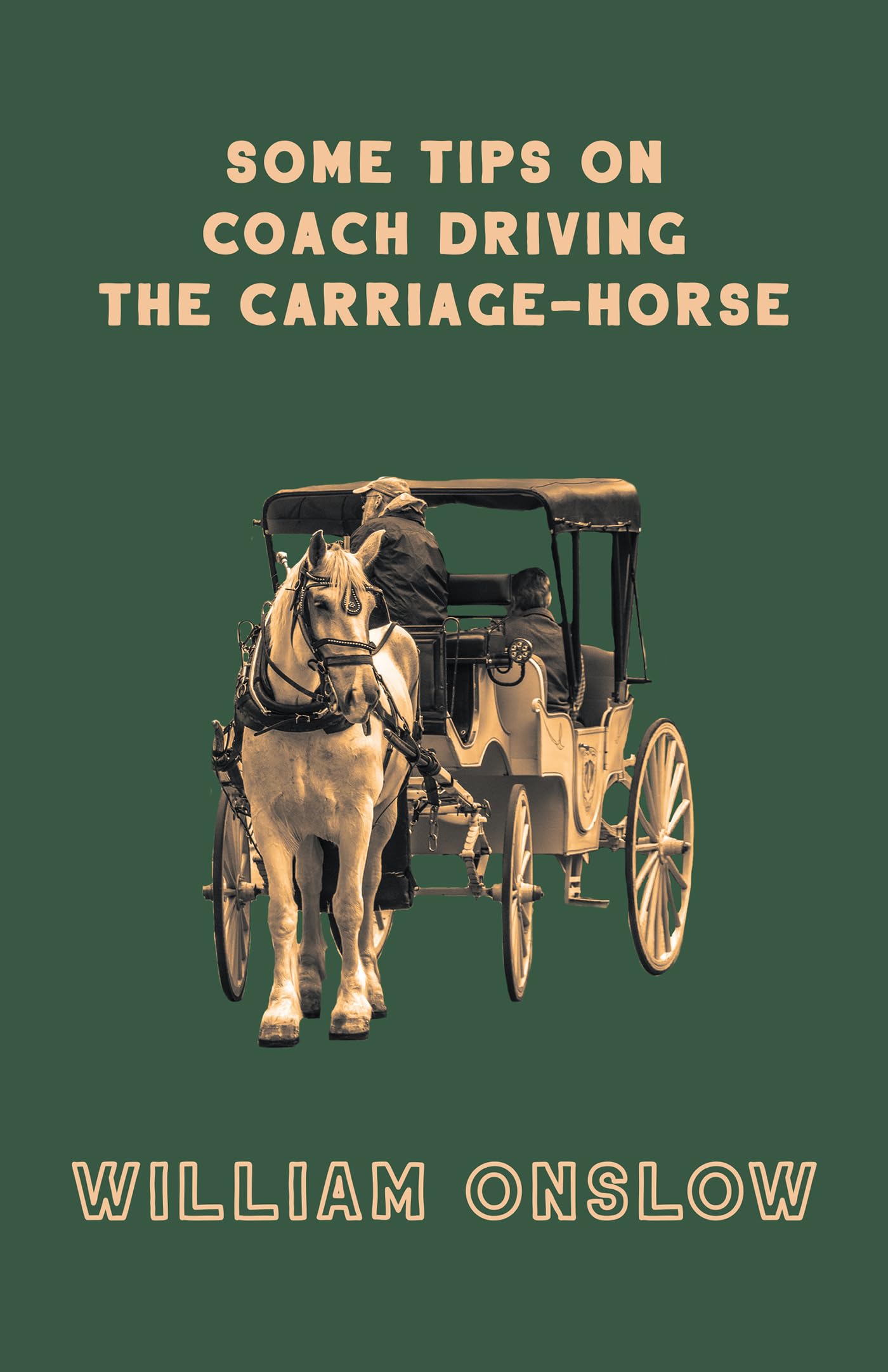 Some Tips on Coach Driving  The CarriageHorse,Used