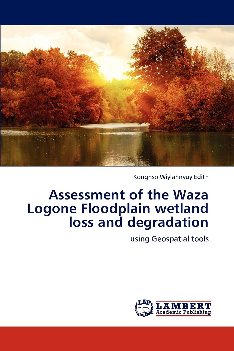 Assessment of the Waza Logone Floodplain wetland loss and degradation: using Geospatial tools,Used