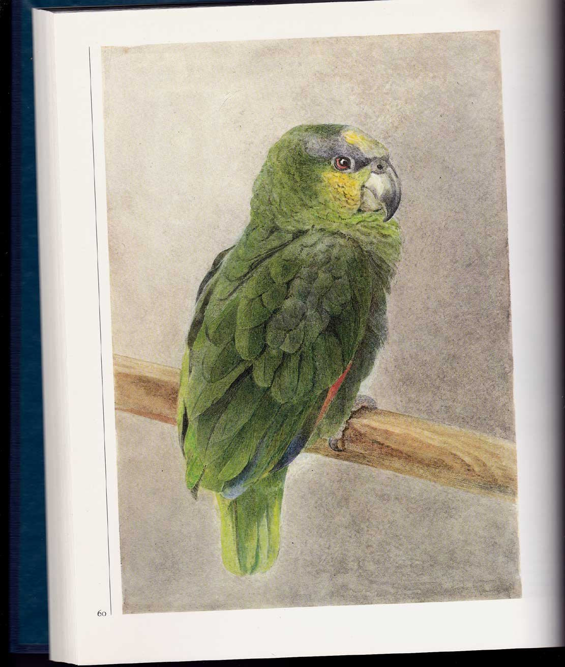 Beatrix Potter's Art: A Selection of Paintings and Drawings,Used
