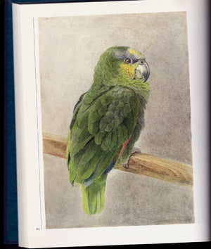 Beatrix Potter's Art: A Selection of Paintings and Drawings,Used